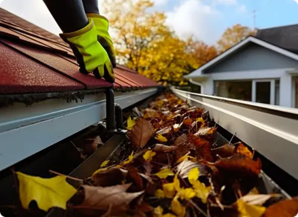 Brisbane Lawn Care Guide: What to Do in Each Season