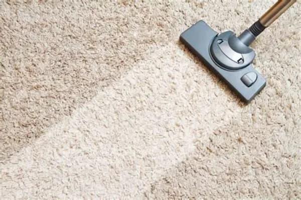 The Complete Guide to Carpet Cleaning in Brisbane